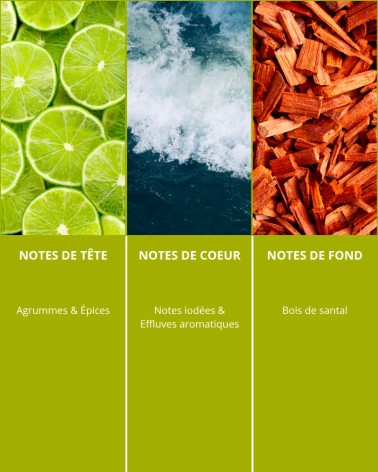 Douche du Littoral - Energising Shower Gel