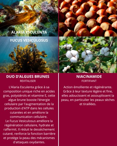 Élixir de Pen Lan - Huile Précieuse Revitalisation Intensive