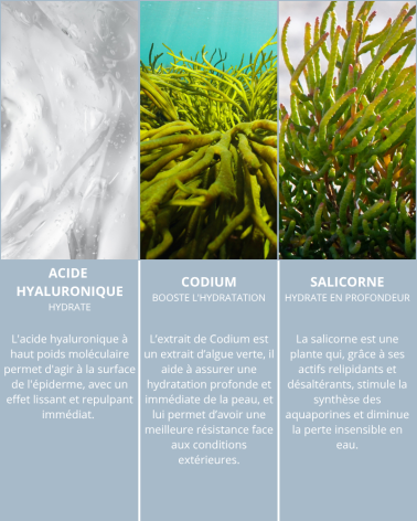 Crème des Vagues - Hydra-tender Cream Refill 50ml