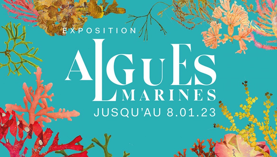 Exposition Algues Marines à l’Aquarium Tropical de Paris